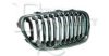 BMW 51137203649 Radiator Grille